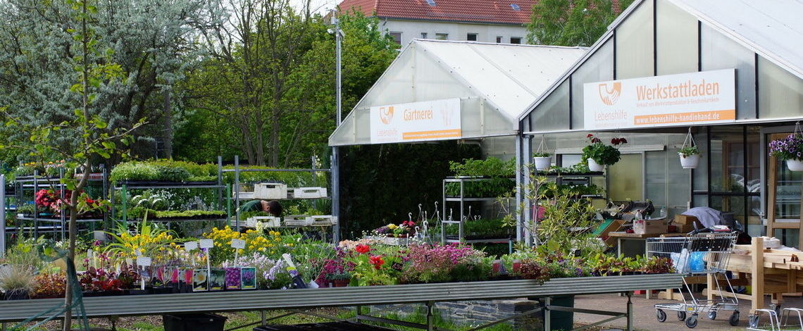 Gärtnerei und Werkstattladen in der Gubener Franz-Mehring-Straße.