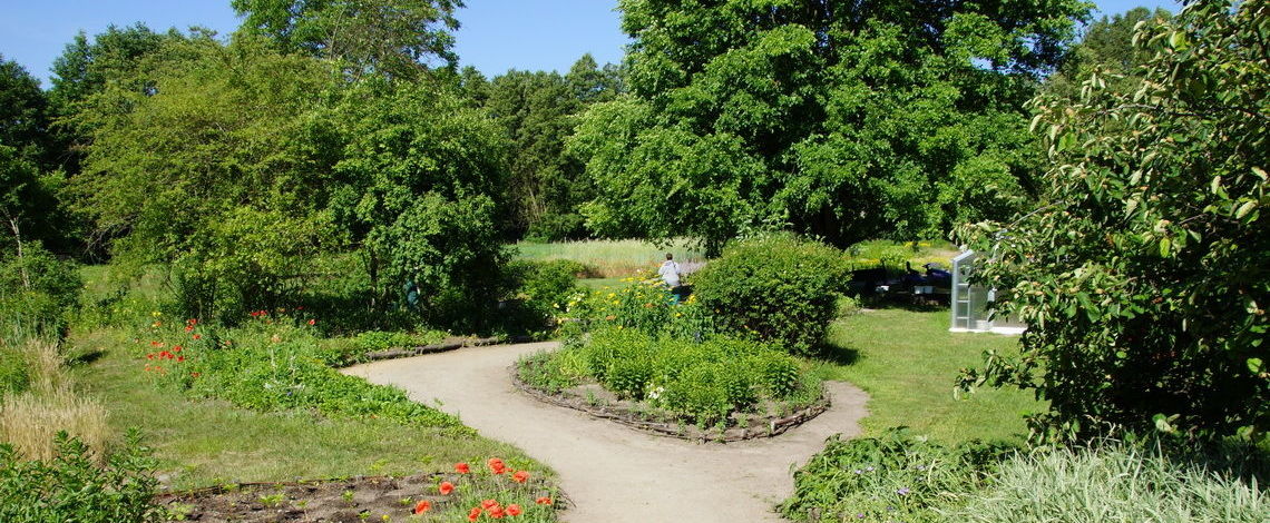 Blick in den Gartenbereich der Kräuterey in Burg im Spreewald.